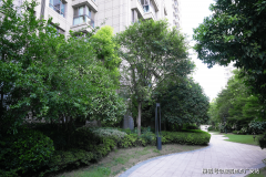 可征询参谋许后进行